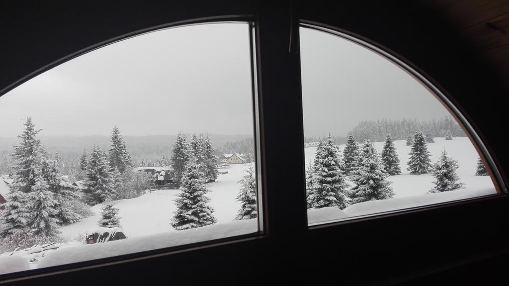 Ea Horsky Hotel Hajenka Modrava Dış mekan fotoğraf